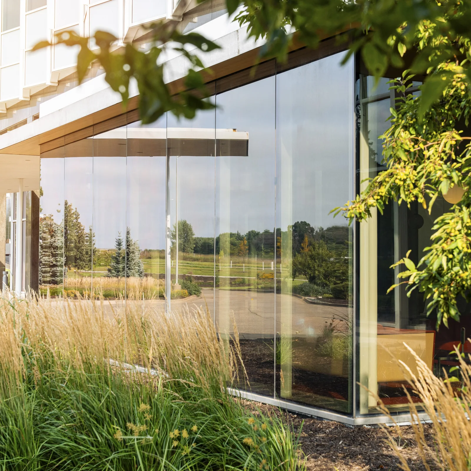 Fachada con 3M Building Window Films